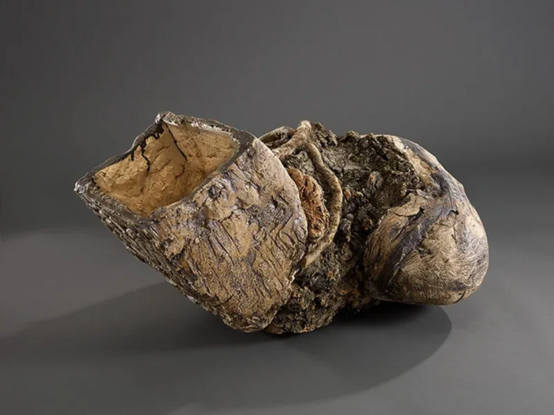 Lisières des Territoires